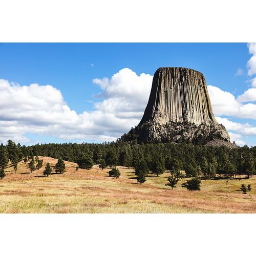 Highsmith, Carol 작가의 Americas first declared national monument-Devils Tower-Wyoming 작품