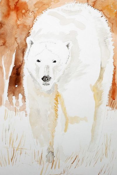 Derr, Wynn 작가의 Polar Bear 작품