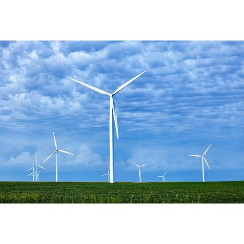 Highsmith, Carol 작가의 Wind Farms in Franklin County-Iowa 작품