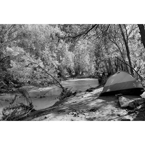 Highsmith, Carol 작가의 Havasu Creek Campground-Grand Canyon National Park 작품