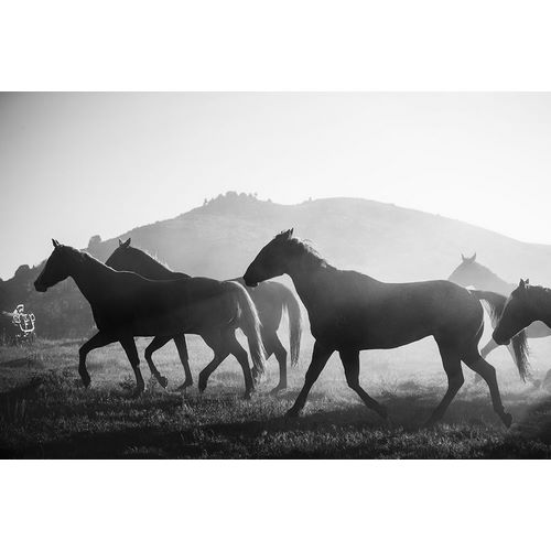 Highsmith, Carol 작가의 Horses head for the Corral-Riverside-Wyoming 작품