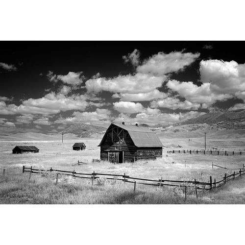 Highsmith, Carol 작가의 Infrared view of barn in rural Montana-USA 작품