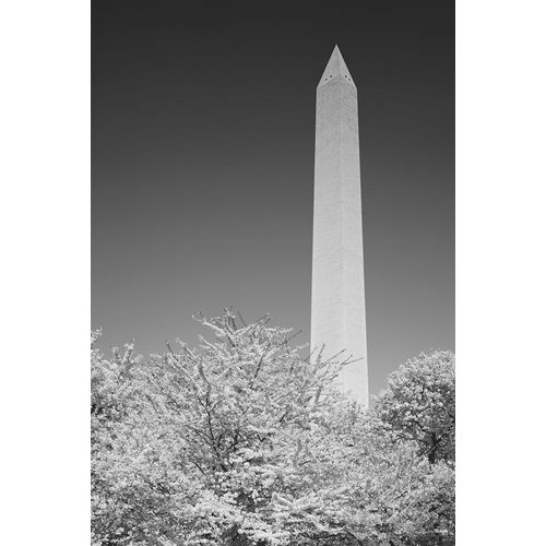 Highsmith, Carol 작가의 The Washington Monument in Washington-D.C. 작품