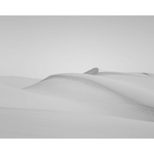 Highsmith, Carol 작가의 Sand dunes in Southern California 작품