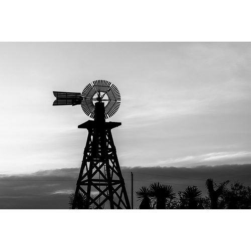 Highsmith, Carol 작가의 Silhouetted windmill in Texas 작품