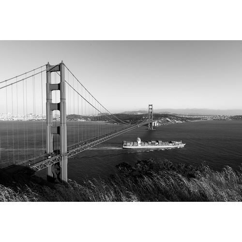 Highsmith, Carol 작가의 The Golden Gate Bridge 작품