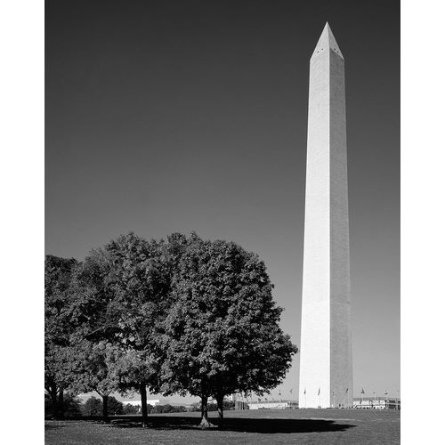 Highsmith, Carol 작가의 The Washinton Monument in Washington-D.C. 작품