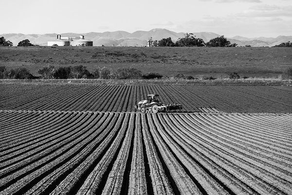 Highsmith, Carol 작가의 Crop rows in San Luis Obispo County-California 작품