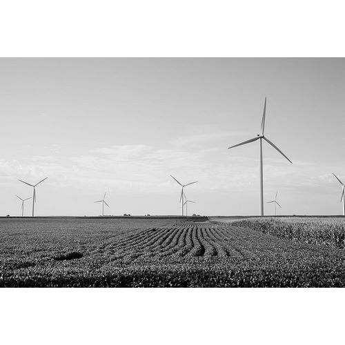 Highsmith, Carol 작가의 Wind Turbines in rural Missouri 작품