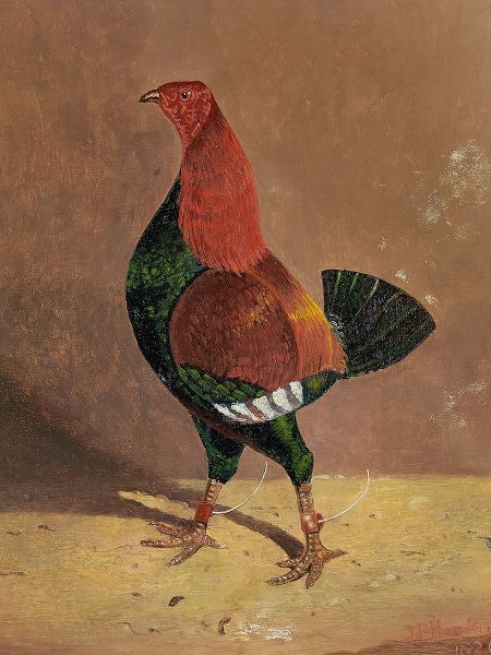 Herring, John Frederick 작가의 Fighting Cocks-a Dark-Breasted Fighting Cock-Facing Left 작품