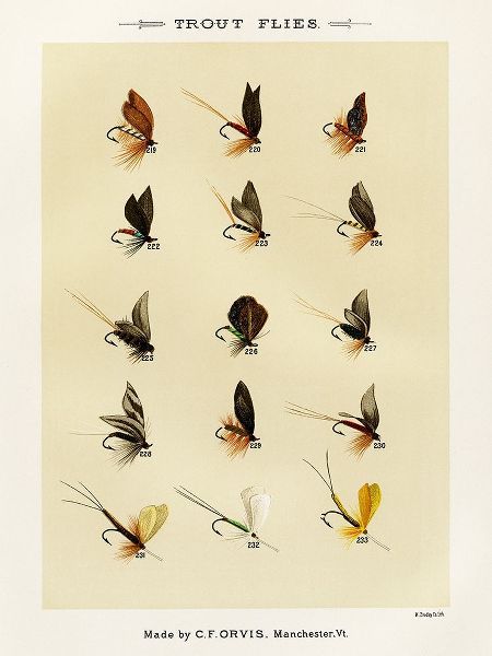 Marbury, Mary Orvis 작가의 Trout Fishing Flies VII from Favorite Flies and Their Histories 작품
