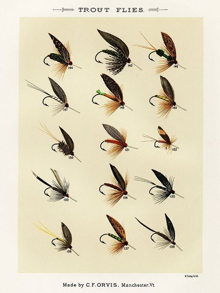 Marbury, Mary Orvis 작가의 Trout Fishing Flies IX from Favorite Flies and Their Histories 작품