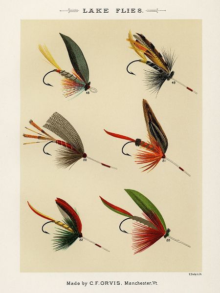 Marbury, Mary Orvis 작가의 Lake Fishing Flies VII from Favorite Flies and Their Histories 작품
