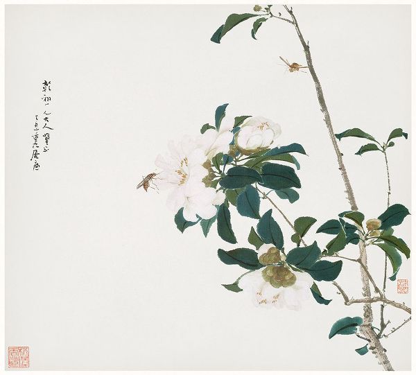 Lian, Ju 작가의 Insects and Flowers II 작품