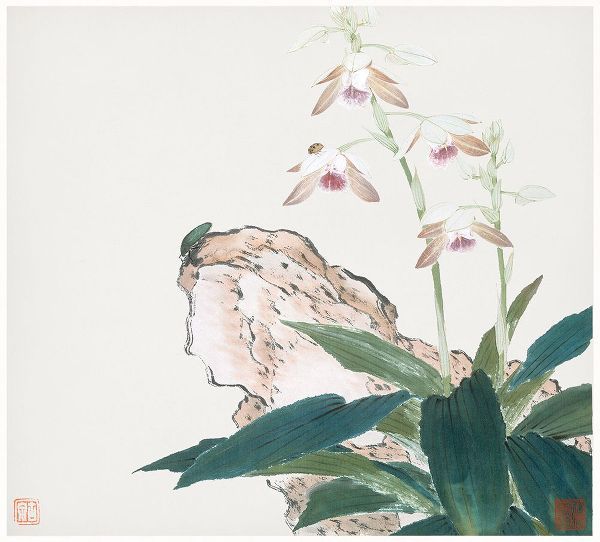 Lian, Ju 작가의 Insects and Flowers VIII 작품