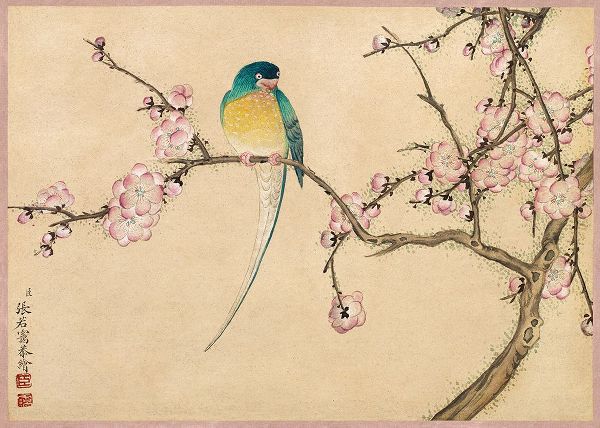 Ruoai, Zhang 작가의 Bird with Plum Blossoms 작품