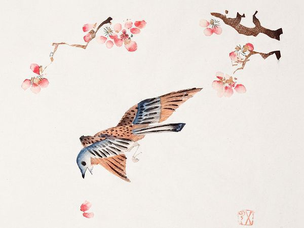 Zhengyan, Hu 작가의 Page from Shi Zhu Zhai Flying Bird 작품