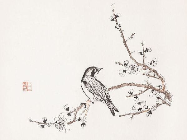 Zhengyan, Hu 작가의 Page from Shi Zhu Zhai Bird on Branch 작품