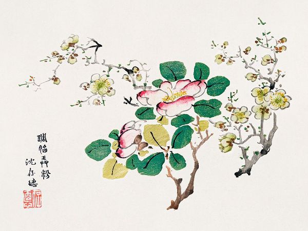 Zhengyan, Hu 작가의 Page from Shi Zhu Zhai Pink Blossoms 작품