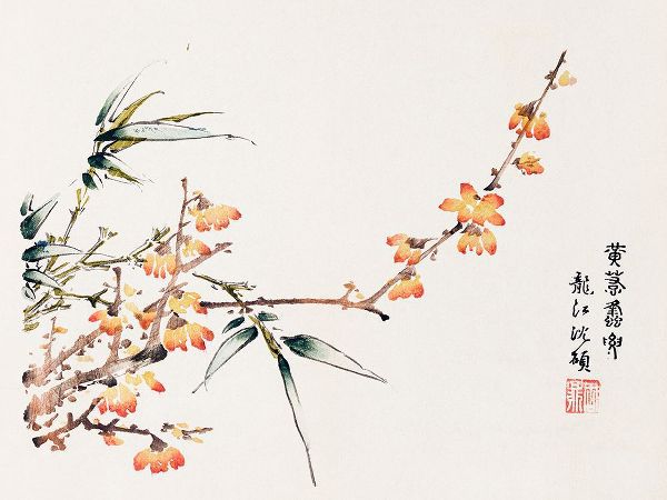 Zhengyan, Hu 작가의 Page from Shi Zhu Zhai Orange Blossoms 작품