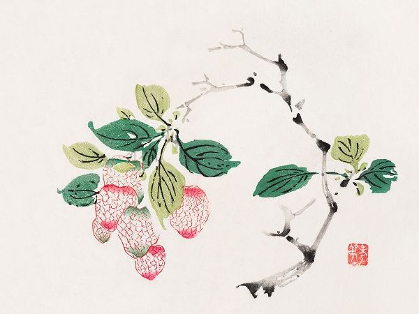 Zhengyan, Hu 작가의 Page from Shi Zhu Zhai Red Fruit Bunch 작품
