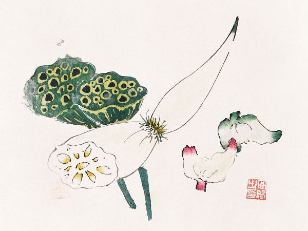 Zhengyan, Hu 작가의 Page from Shi Zhu Zhai Green Seed Pods 작품
