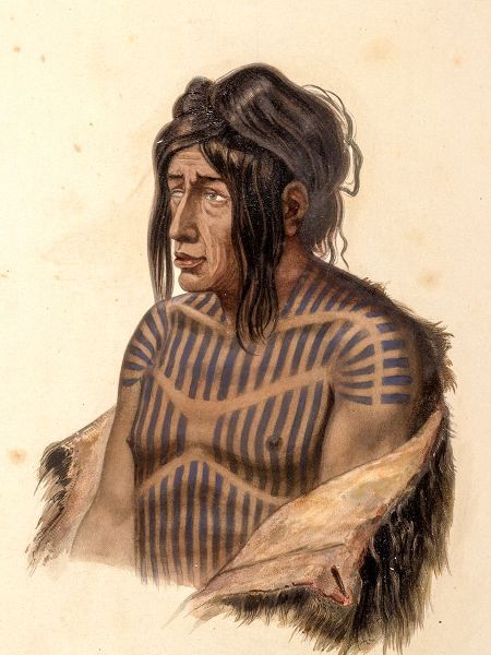 Bodmer, Karl 작가의 Mahsette Kuiuab Chief of the Cree indians 작품