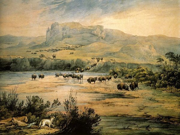 Bodmer, Karl 작가의 Landscape with buffalo on the upper Missouri 작품