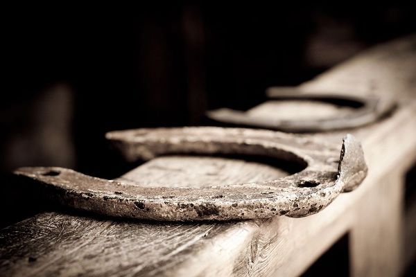 The Yellowstone Collection 작가의 Horseshoes Sepia 작품