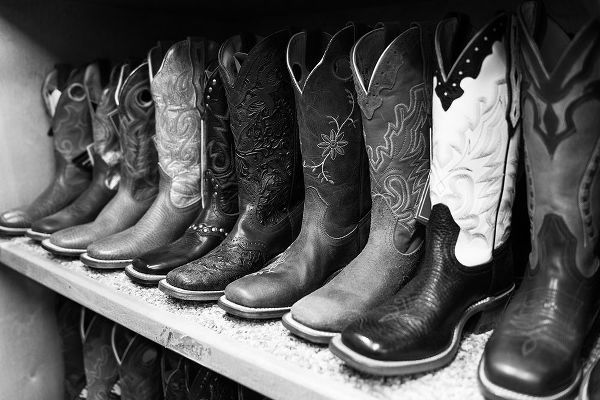 The Yellowstone Collection 작가의 Fancy cowboy boots  작품