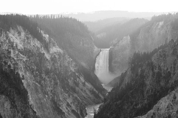 The Yellowstone Collection 작가의 View from Artist Point, Yellowstone National Park 작품