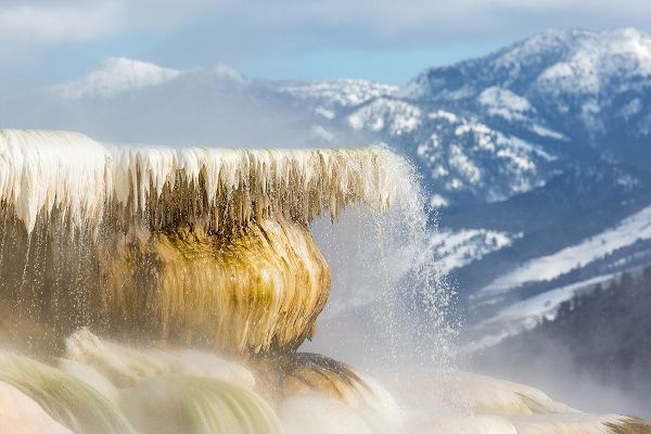 The Yellowstone Collection 작가의 Canary Spring, Mammoth Hot Springs, Yellowstone National Park 작품