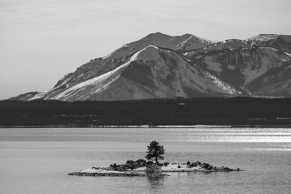The Yellowstone Collection 작가의 Carrington Island and Mount Sheridan, Yellowstone National Park 작품
