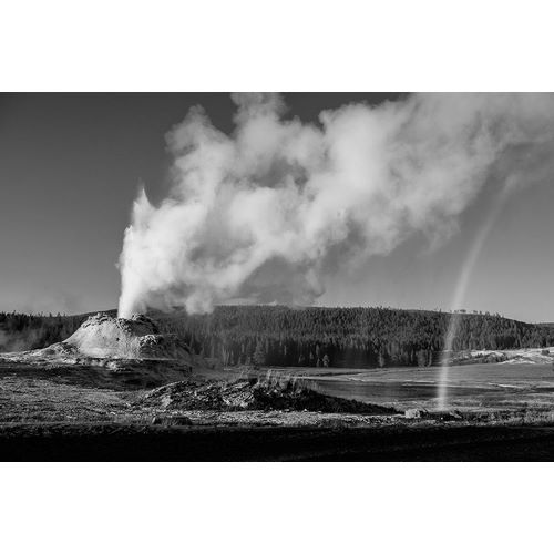 Frank, Jacob W. 작가의 Castle Geyser Eruption, Yellowstone National Park 작품