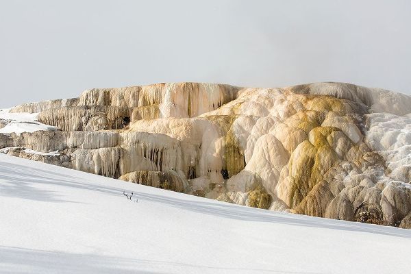 The Yellowstone Collection 작가의 Cleopatra Spring, Mammoth Hot Springs, Yellowstone National Park 작품