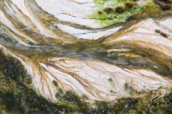The Yellowstone Collection 작가의 Colorful Bacteria at Mammoth Hot Springs, Yellowstone National Park 작품