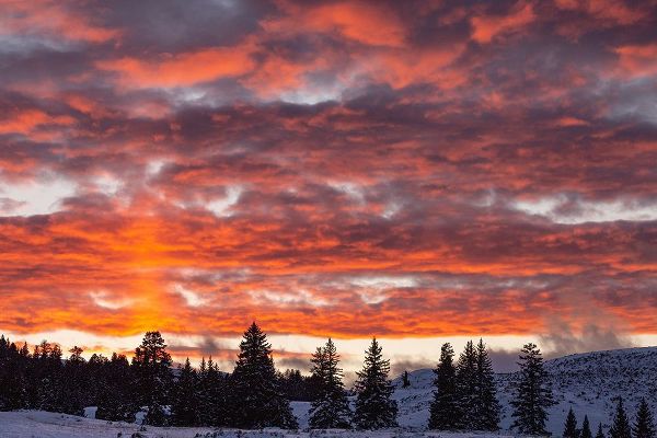 The Yellowstone Collection 작가의 Winter Sunset in Lamar Valley, Yellowstone National Park 작품
