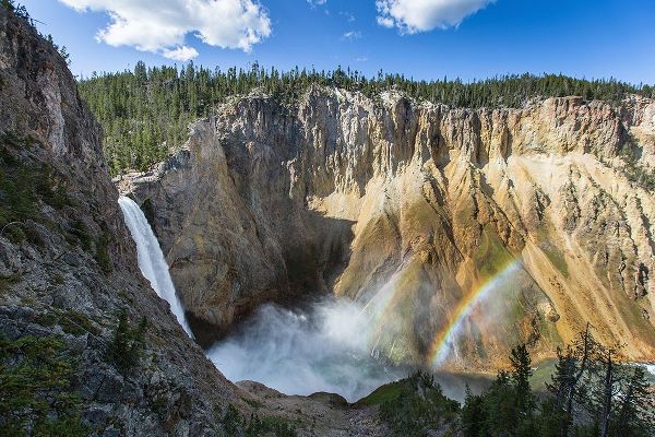 Herbert, Neal 작가의 Lower Falls from Uncle Tom&#039;&#039;s Trail, Yellowstone National Park 작품
