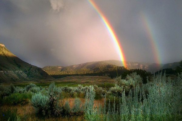 The Yellowstone Collection 작가의 Double Rainbow from Lower Mammoth, Yellowstone National Park 작품