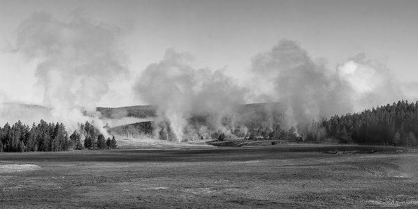 The Yellowstone Collection 작가의 Early Morning Steam, Upper Geyser Basin, Yellowstone National Park 작품