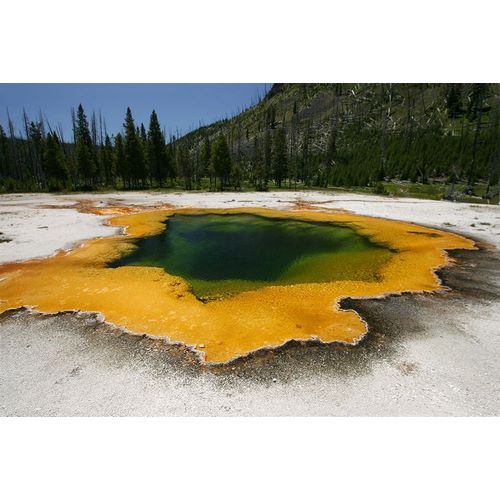 Peaco, Jim 작가의 Emerald Pool in Black Sand Basin, Yellowstone National Park 작품