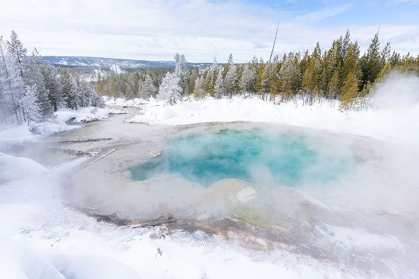 The Yellowstone Collection 작가의 Emerald Spring, Yellowstone National Park 작품