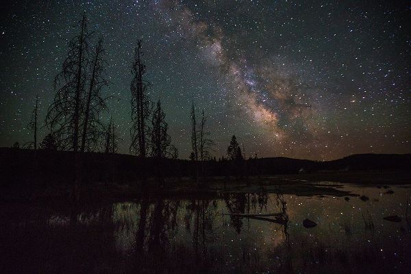 The Yellowstone Collection 작가의 Firehole Lake Drive and Milky Way, Yellowstone National Park 작품