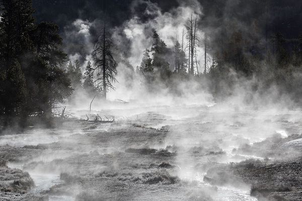 The Yellowstone Collection 작가의 Frost and Steam, Midway Geyser Basin, Yellowstone National Park 작품