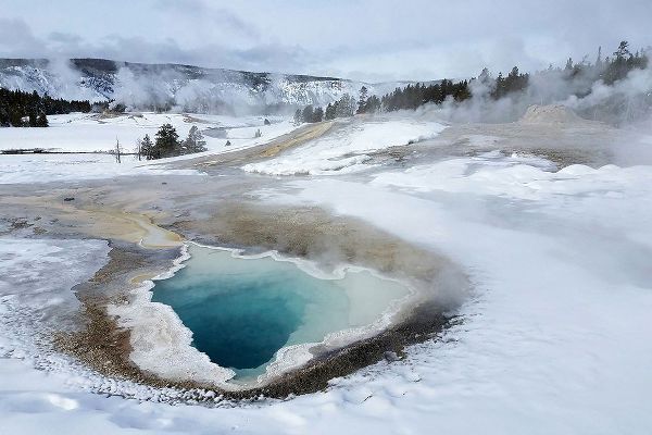 The Yellowstone Collection 작가의 Heart Spring in Upper Geyser Basin, Yellowstone National Park 작품