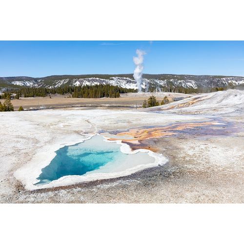 Frank, Jacob W. 작가의 Heart Spring with a Castle Geyser Eruption, Yellowstone National Park 작품