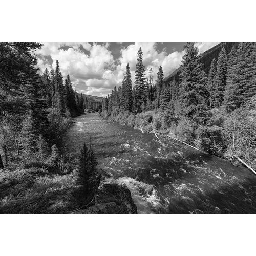 Frank, Jacob W. 작가의 Hellroaring Creek near the Absaroka Beartooth Wilderness, Yellowstone National Park 작품