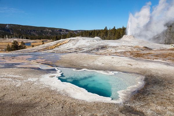The Yellowstone Collection 작가의 Lion Geyser and Heart Spring, Yellowstone National Park 작품