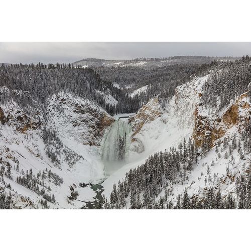 Frank, Jacob W. 작가의 Lower Falls from Lookout Point, Yellowstone National Park 작품