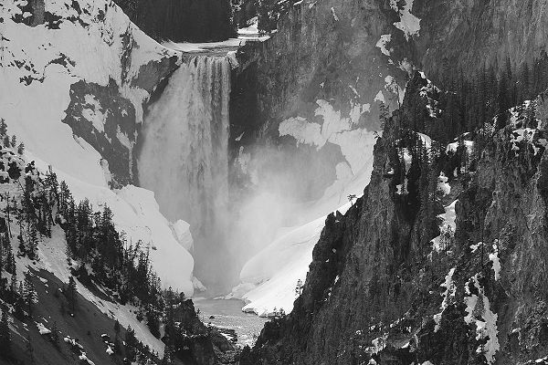 Peaco, Jim 작가의 Lower Falls, Yellowstone National Park 작품